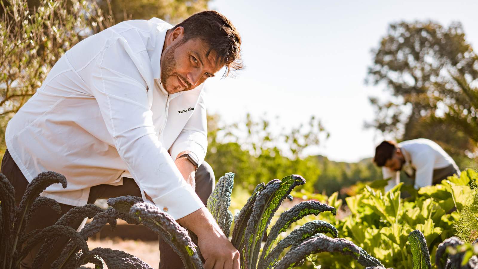 Sun&Blue Congress reunirá a una destacada delegación de chefs Estrellas Verdes Michelín y restaurantes sostenibles 